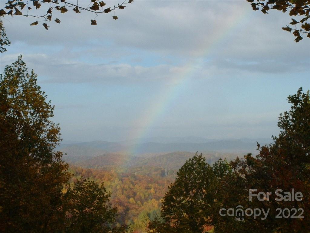 55 Summit Road Tryon, NC 28782 - Photo 21 of 23