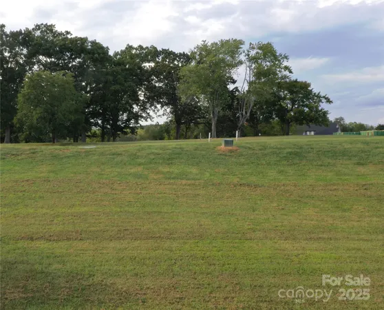 a view of a field with trees