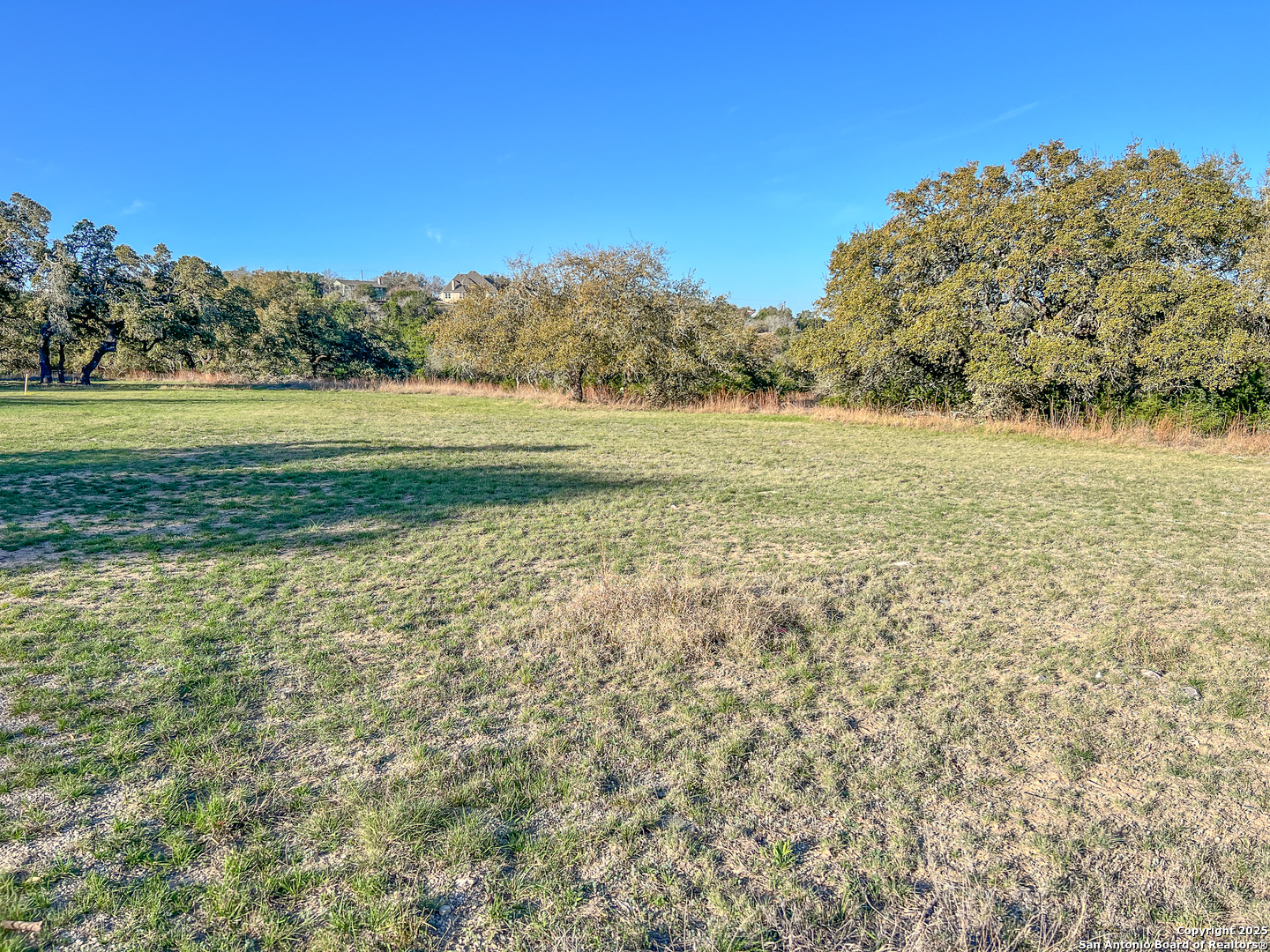 a view of an outdoor space and a yard