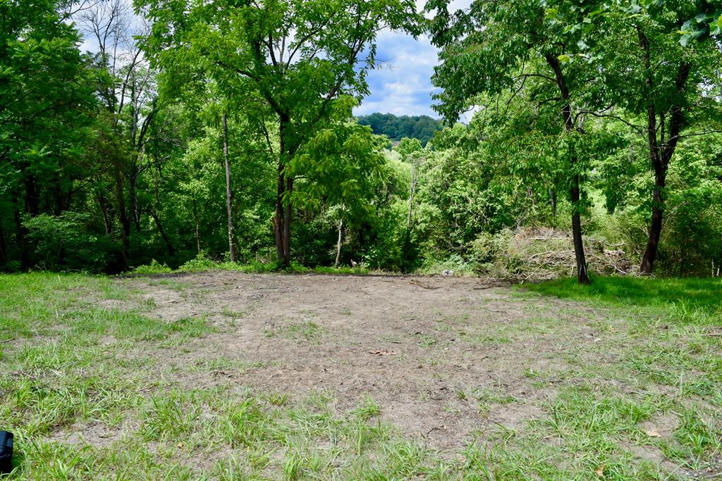 Carters Island Road Goodview, VA 24095 - Photo 24 of 36 Gallery Image 24