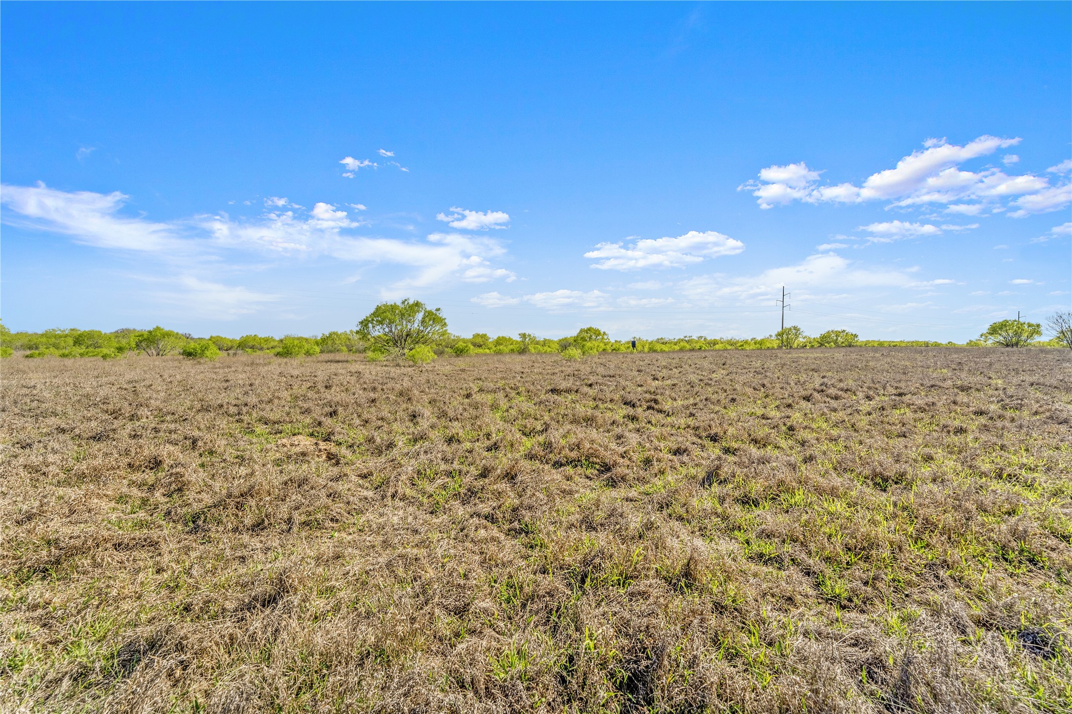 0 Fox Trotter Road Seguin, TX 78155 - Photo 4 of 12