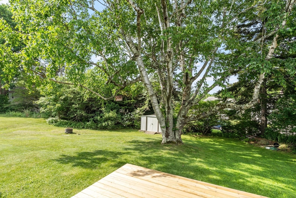 4 Cranston Street Worcester, MA 01606 - Photo 35 of 37