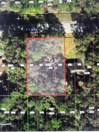 $27,500 | 3404 East Murray Street, Inverness, FL 34453