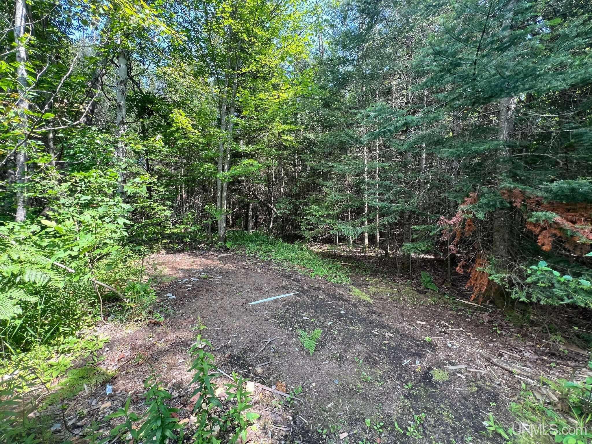2002 Merwin Creek Road Gulliver, MI 49840 - Photo 7 of 15 Gallery Image 7
