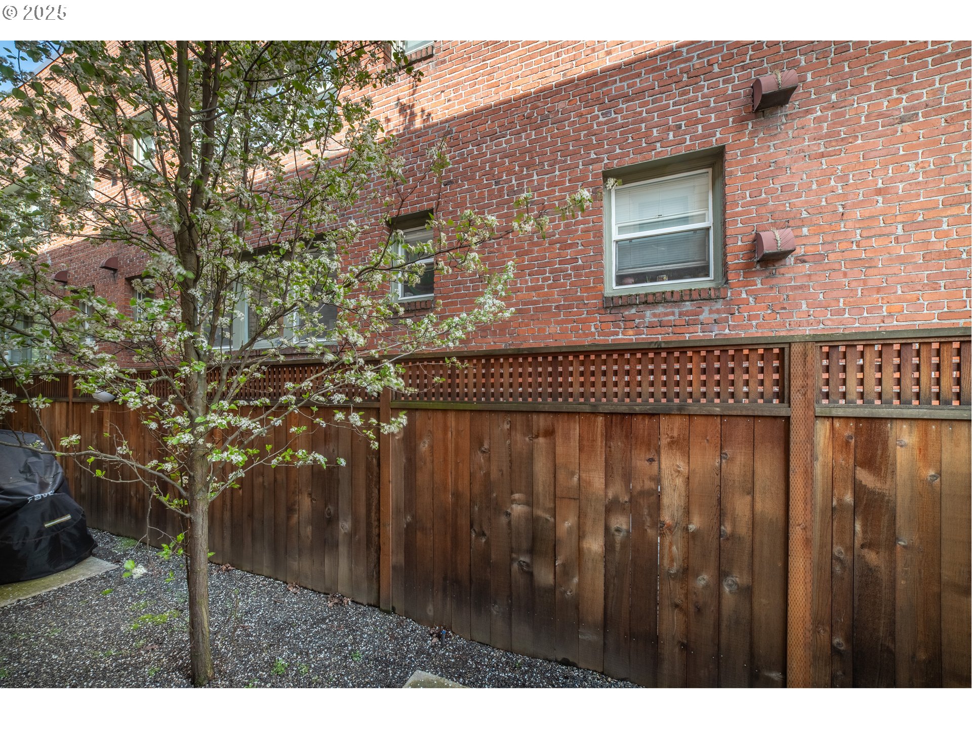 623 Northeast Randall Avenue Portland, OR 97232 - Photo 21 of 26 a front view of a house with a yard