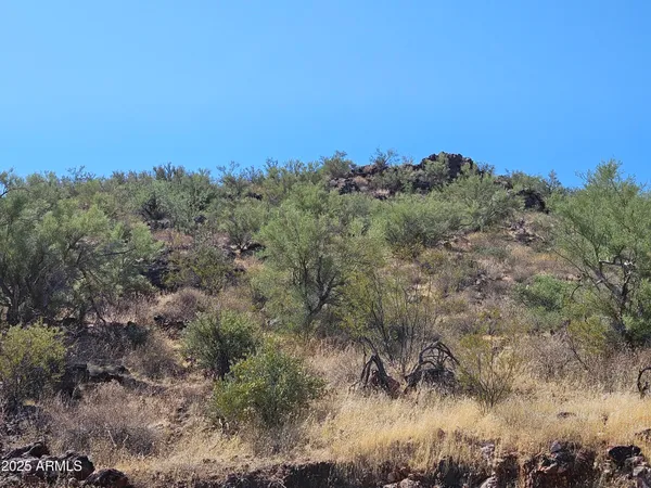 $65,000 | 29600 West Black Mountain Road, Wittmann, AZ 85361