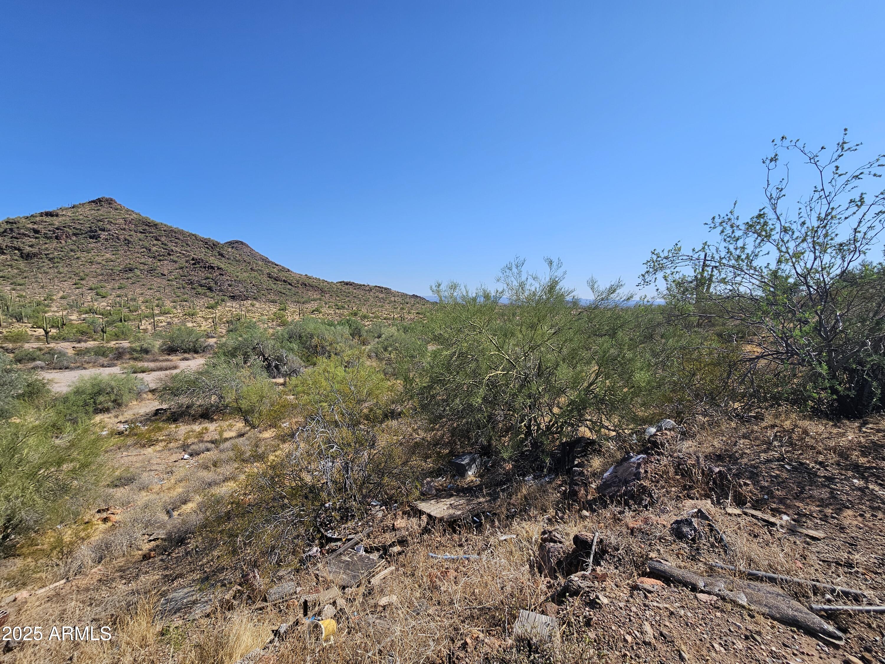 29600 West Black Mountain Road Wittmann, AZ 85361 - Photo 5 of 8 a view of a large mountain with trees in the background