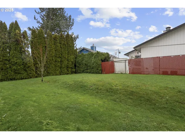 a view of a backyard