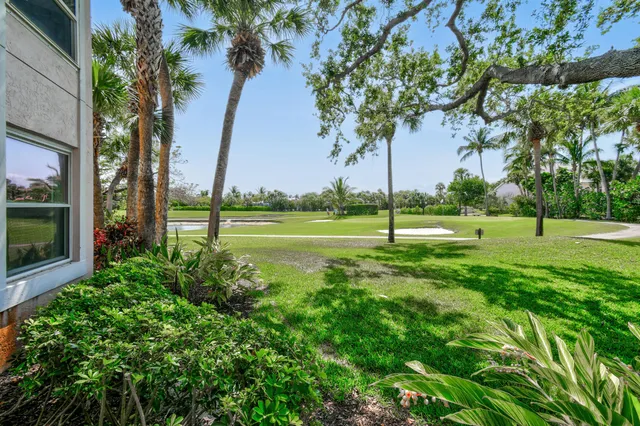 a view of a park with large trees