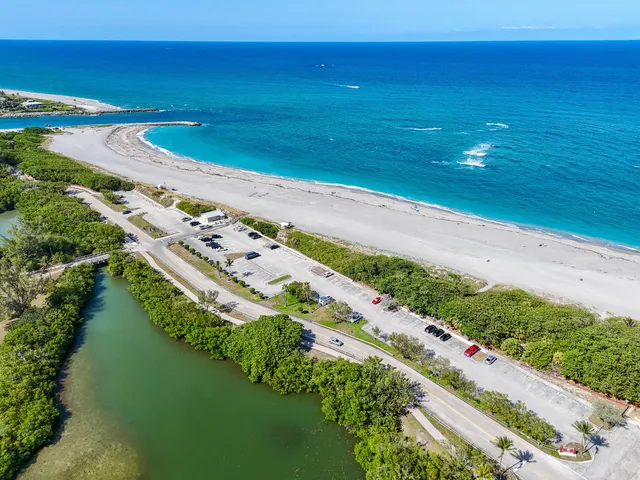 a view of a city with palm trees