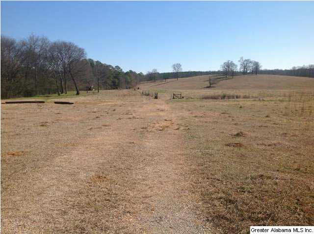Curry Station Road, Unit 72 Eastaboga, AL 36260 - Photo 4 of 4