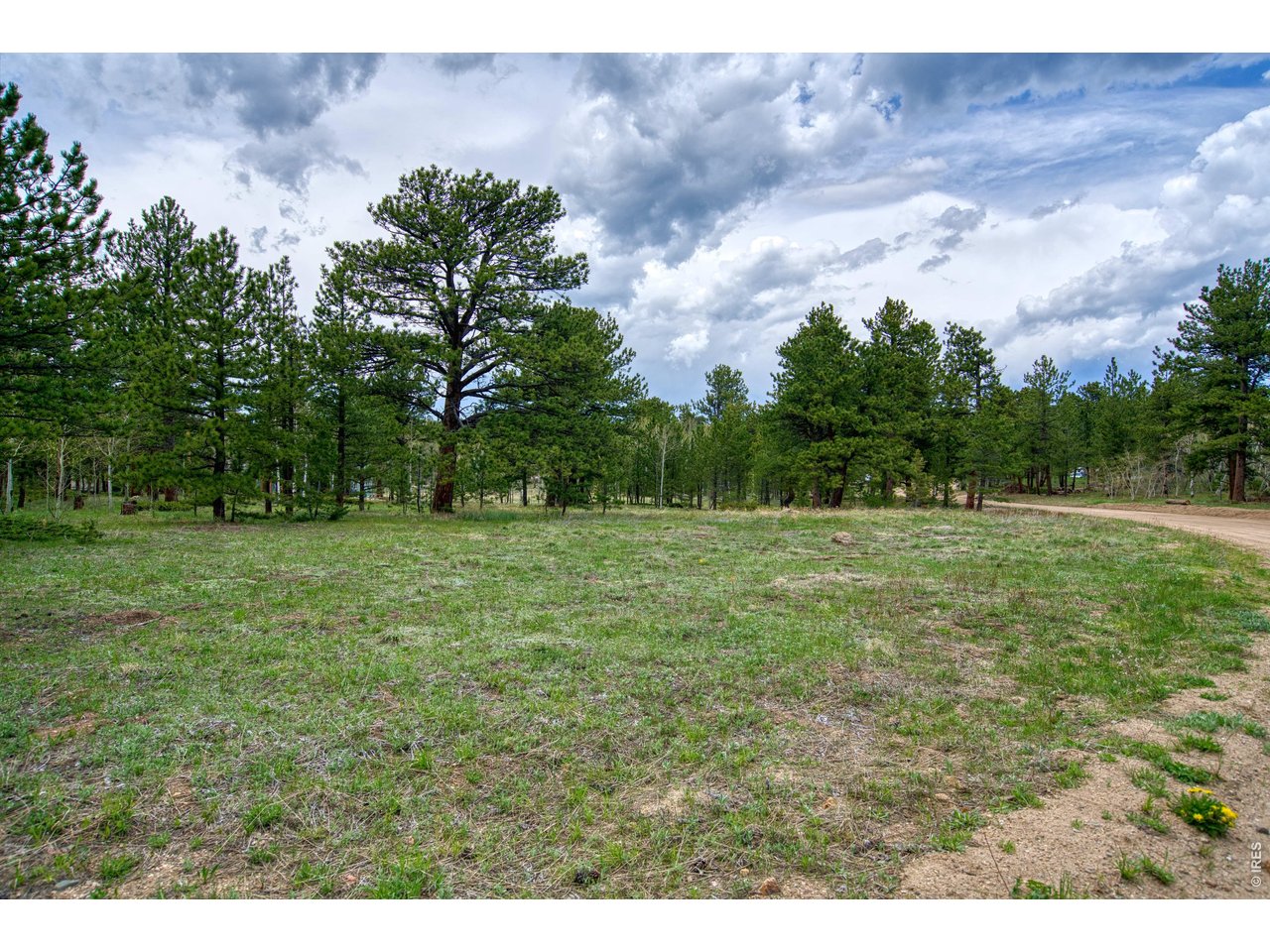 73 Sparn Way Ward, CO 80481 - Photo 9 of 11