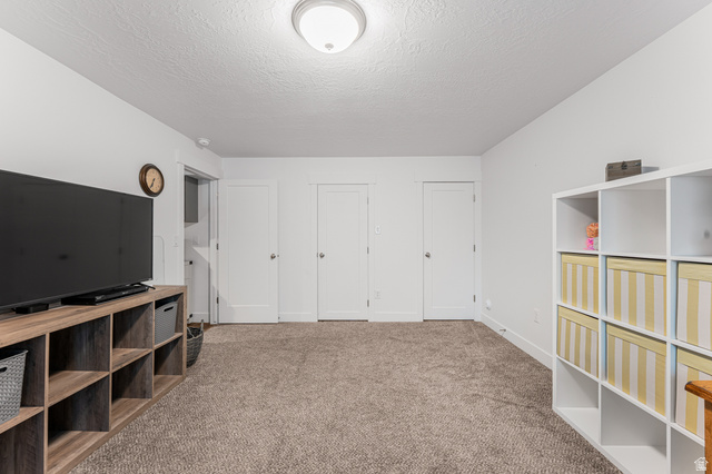 313 Old Maple Road South Weber, UT 84405 - Photo 25 of 35 Spacious room featuring neutral carpet flooring, white walls, multiple white panel doors, and a flush-mount ceiling light fixture