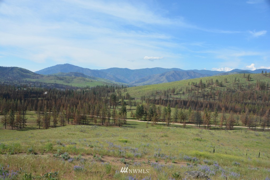 132 Jason Lucas Road Methow, WA 98834 - Photo 1 of 16