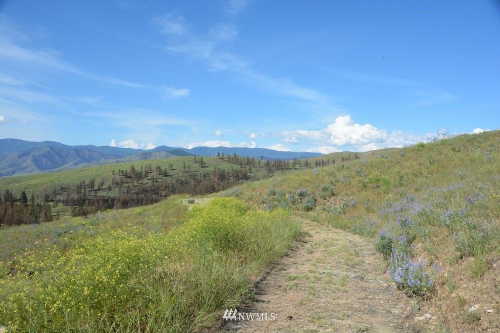 132 Jason Lucas Road Methow, WA 98834 - Photo 2 of 16