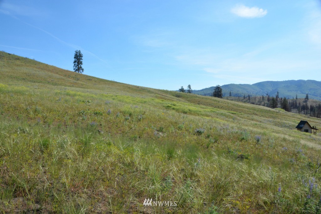132 Jason Lucas Road Methow, WA 98834 - Photo 11 of 16