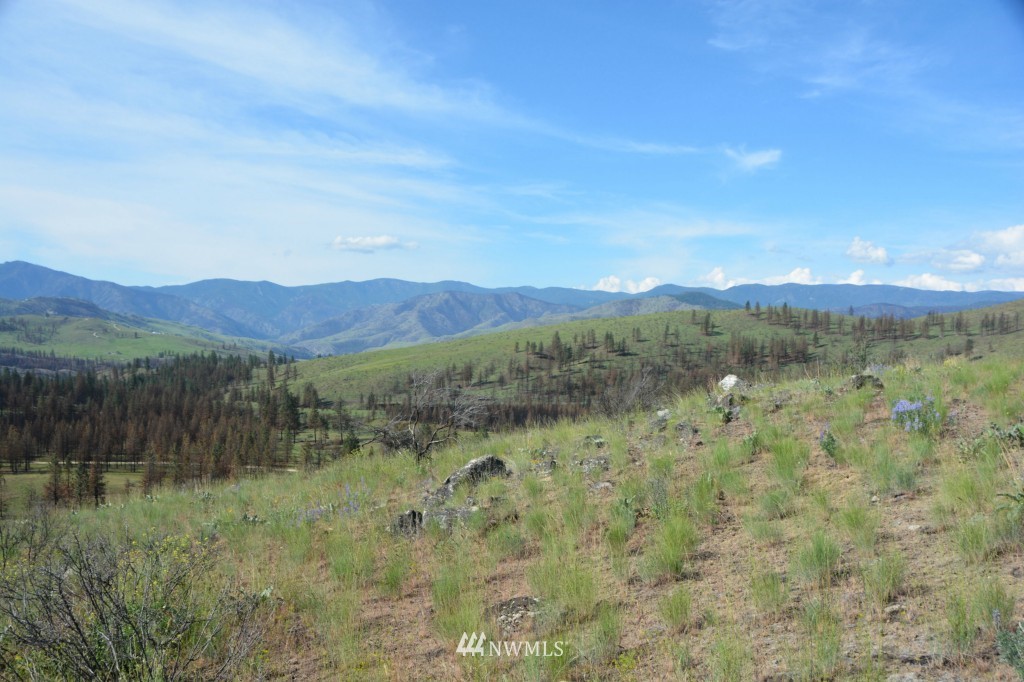 132 Jason Lucas Road Methow, WA 98834 - Photo 12 of 16
