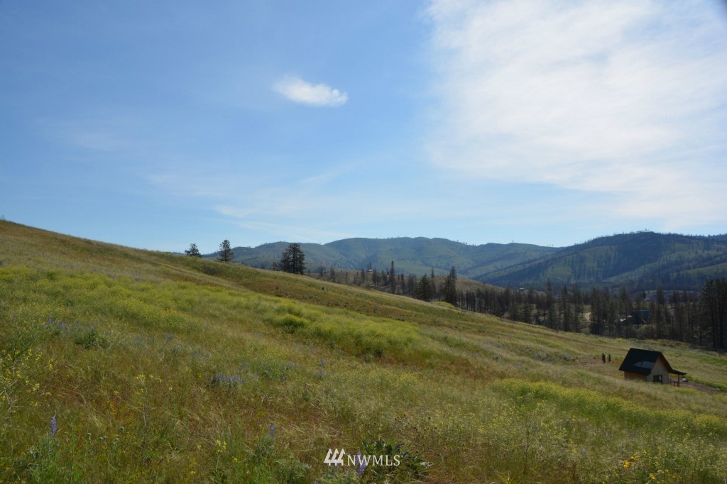 132 Jason Lucas Road Methow, WA 98834 - Photo 13 of 16