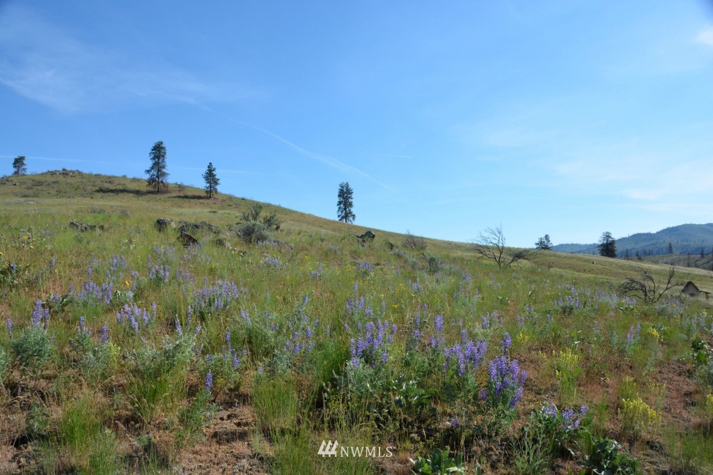 132 Jason Lucas Road Methow, WA 98834 - Photo 4 of 16