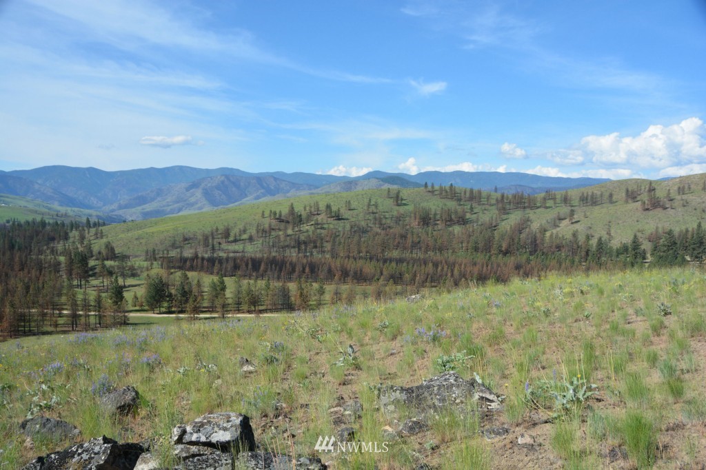132 Jason Lucas Road Methow, WA 98834 - Photo 6 of 16