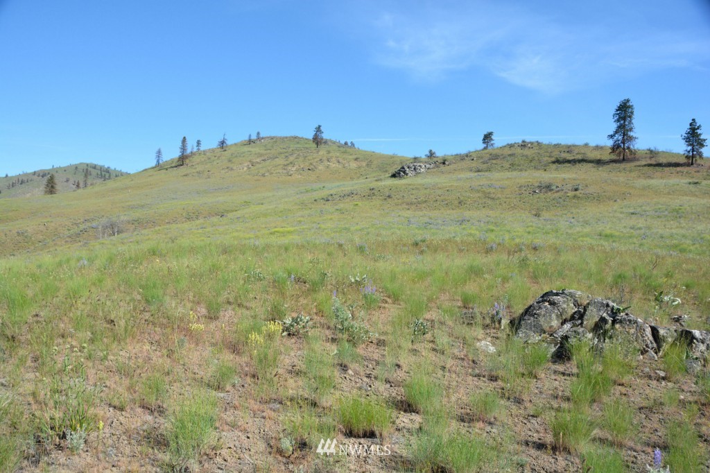 132 Jason Lucas Road Methow, WA 98834 - Photo 7 of 16