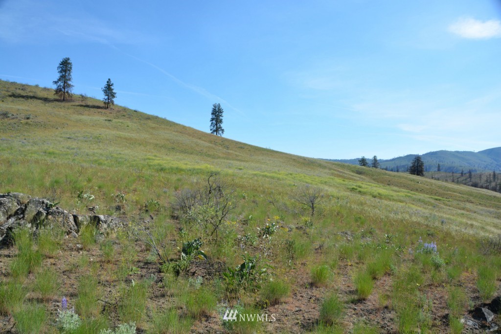 132 Jason Lucas Road Methow, WA 98834 - Photo 8 of 16