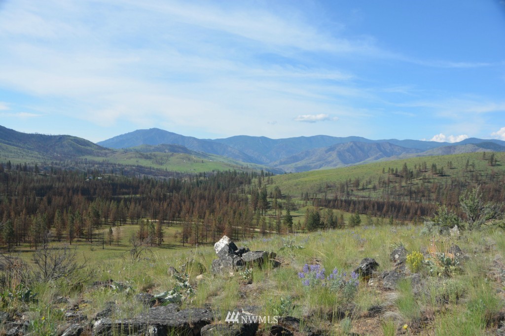 132 Jason Lucas Road Methow, WA 98834 - Photo 9 of 16