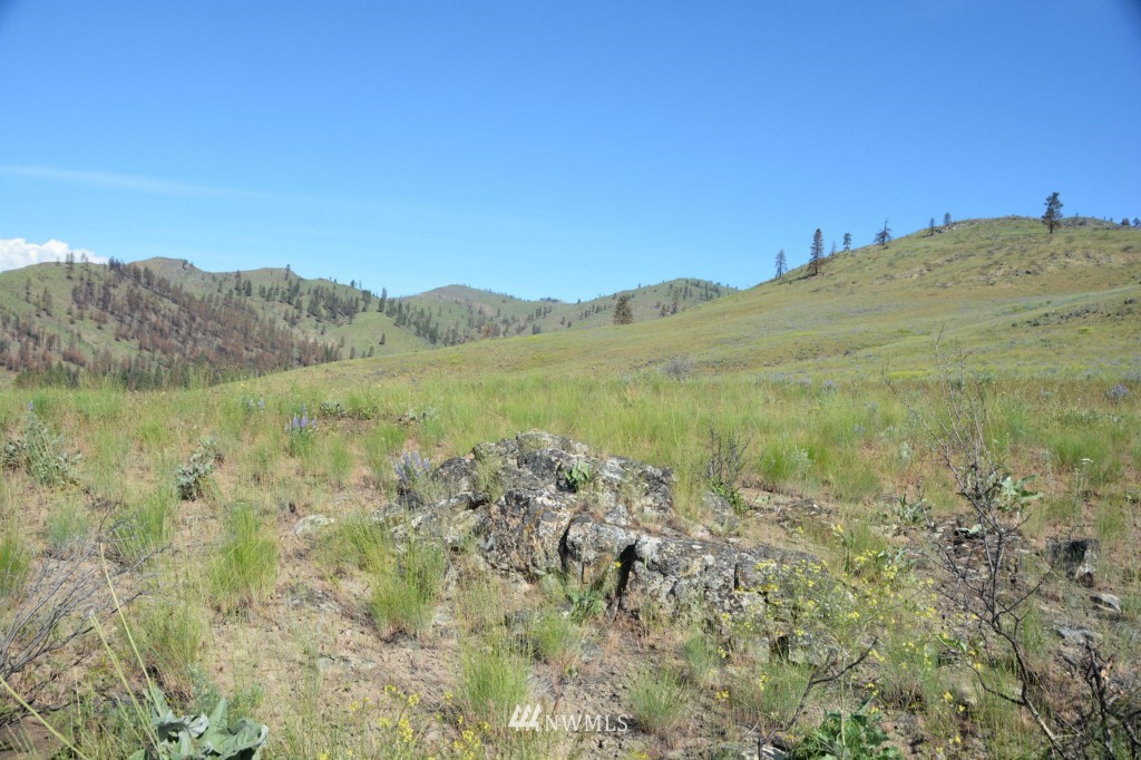132 Jason Lucas Road Methow, WA 98834 - Photo 10 of 16