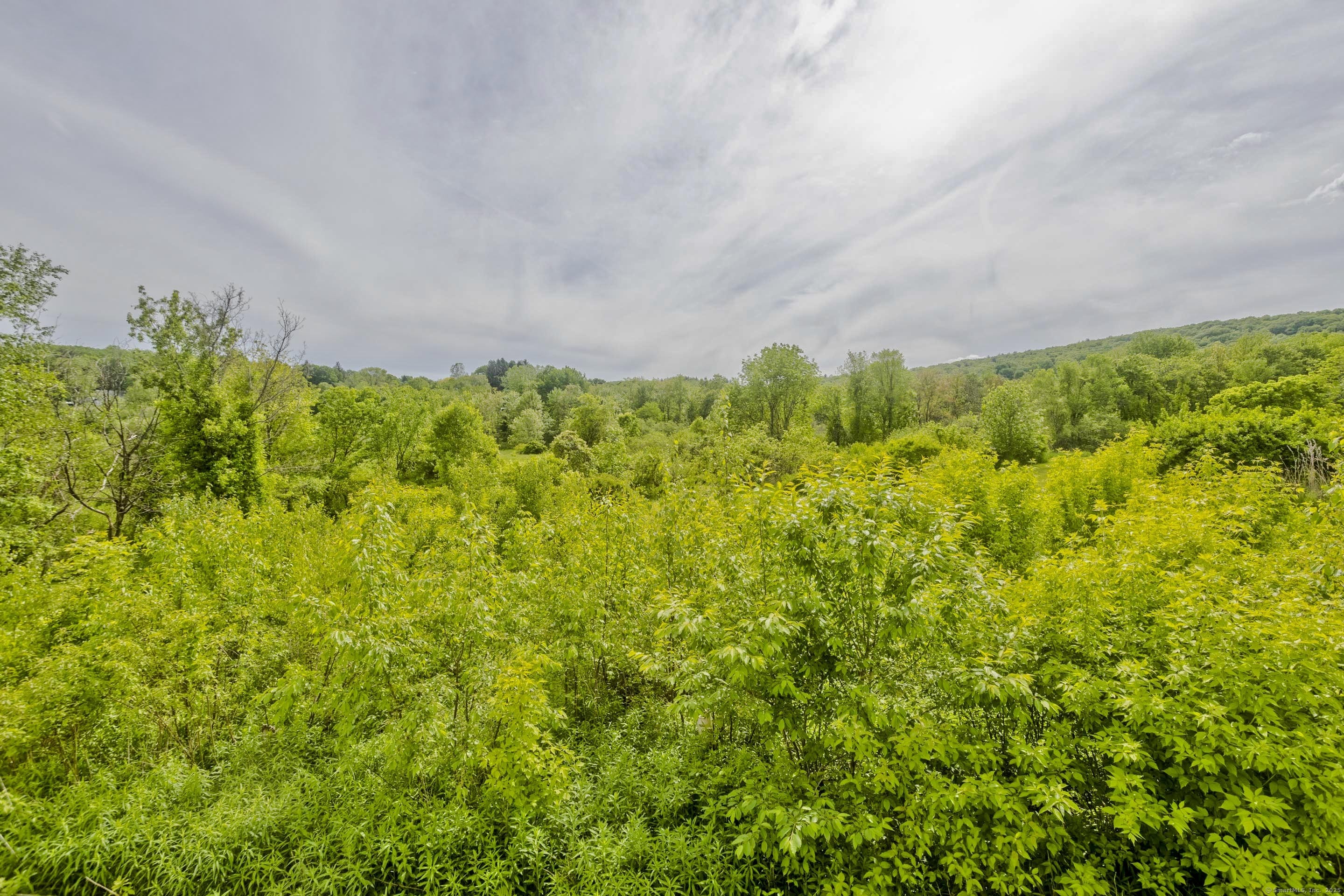 56 Margaret Street Monson, MA 01057 - Photo 38 of 39 a view of a garden