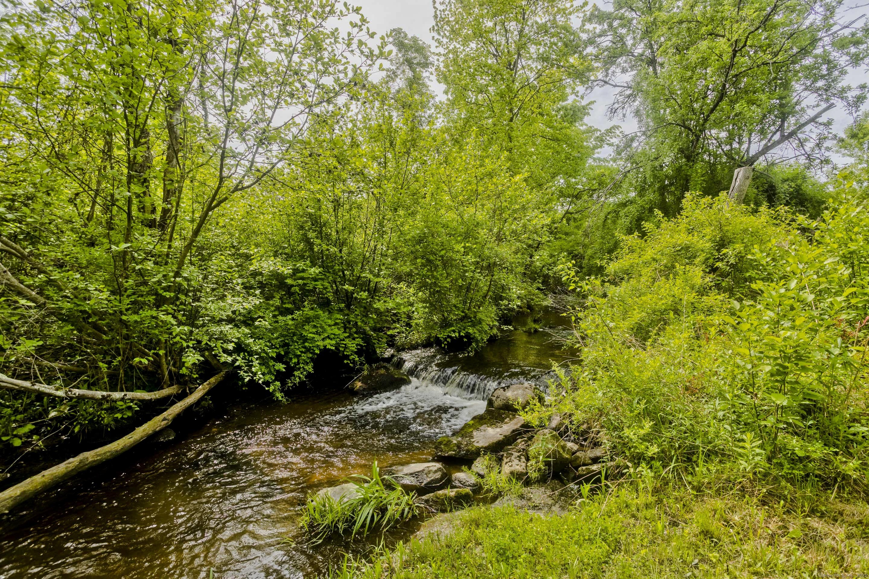 56 Margaret Street Monson, MA 01057 - Photo 5 of 39 a view of a garden with plants