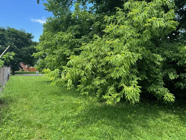 $18,100 | 3121 West St Paul Avenue, Milwaukee, WI 53208