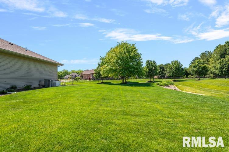 4377 Old Salem Lane Springfield, IL 62711 - Photo 9 of 46