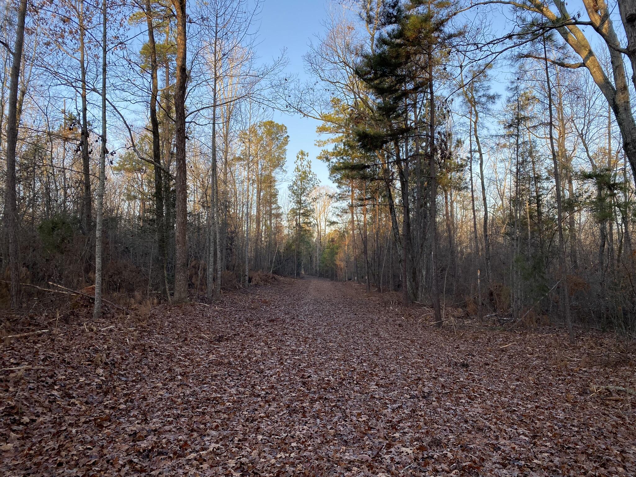 Batesburg-leesville Sc 29006 Road Leesville, SC 29070 - Photo 15 of 22
