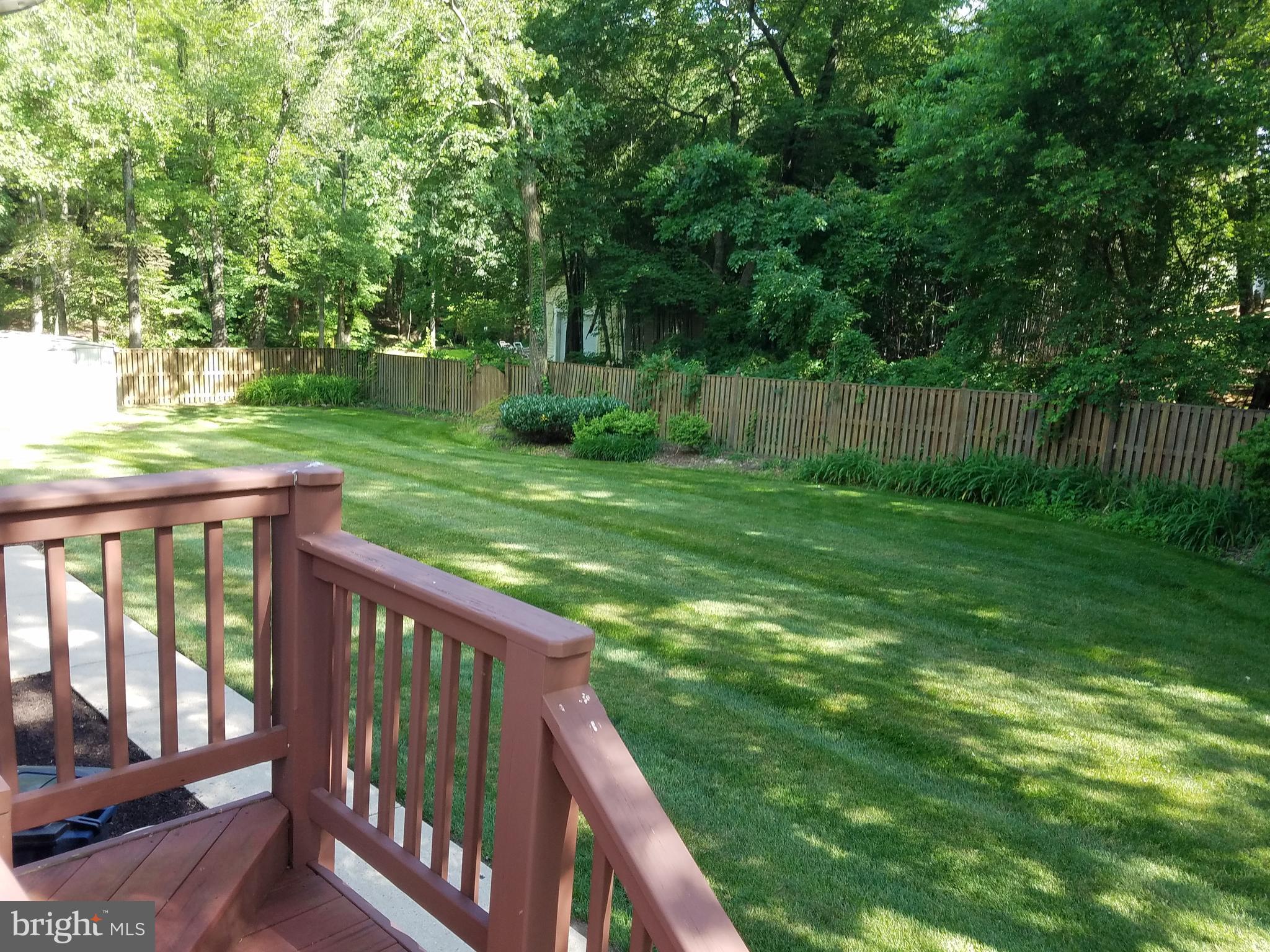 5903 Windham Road Laurel, MD 20707 - Photo 11 of 16 Beautiful yard, backing to trees.