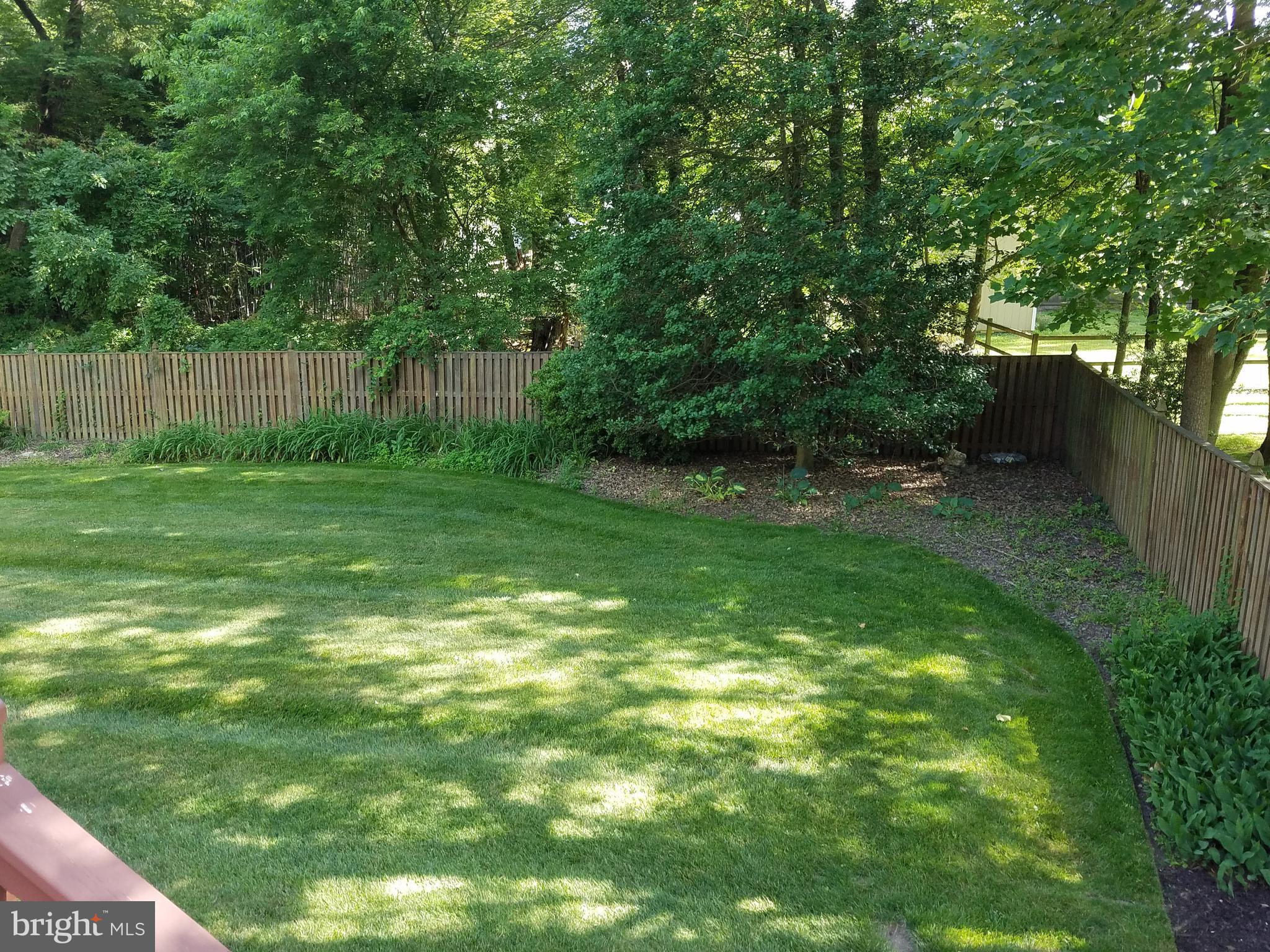 5903 Windham Road Laurel, MD 20707 - Photo 12 of 16 Beautiful yard, backing to trees.