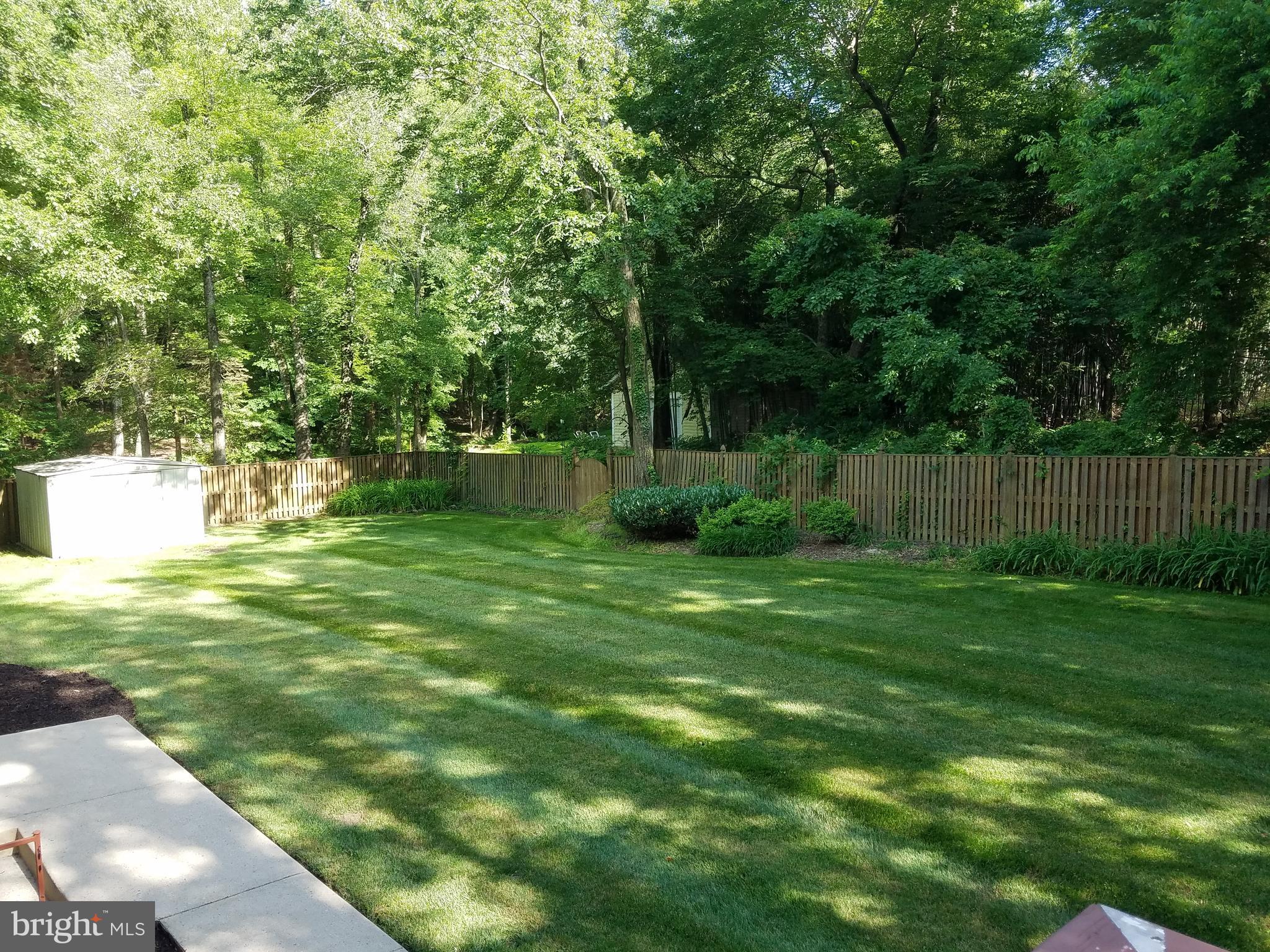 5903 Windham Road Laurel, MD 20707 - Photo 13 of 16 Beautiful yard, backing to trees.