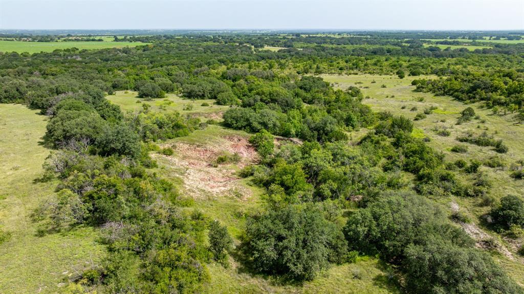 501 County Road 103, Unit 1 Comanche, TX 76442 - Photo 16 of 38 a view of a green field with lots of bushes