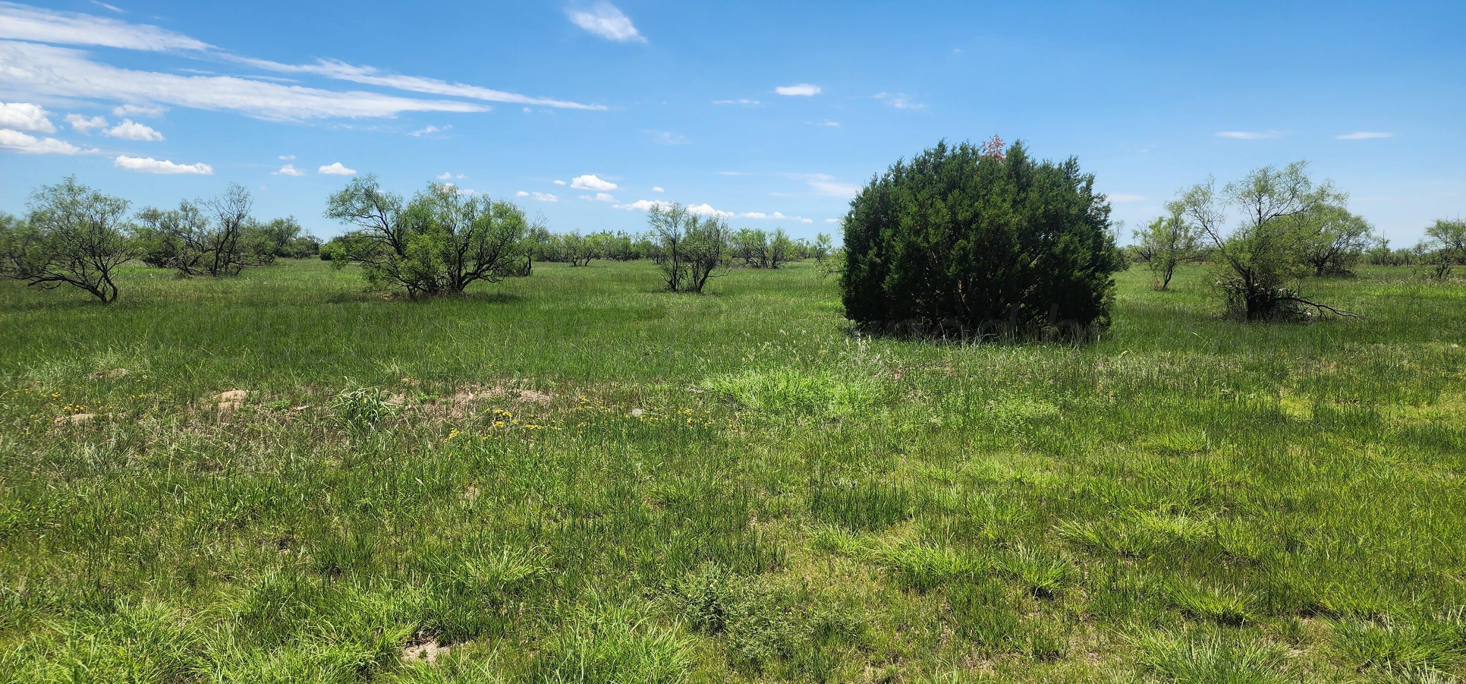 319 Prairie Point Canyon, TX 79015 - Photo 7 of 9 a view of a lush green space