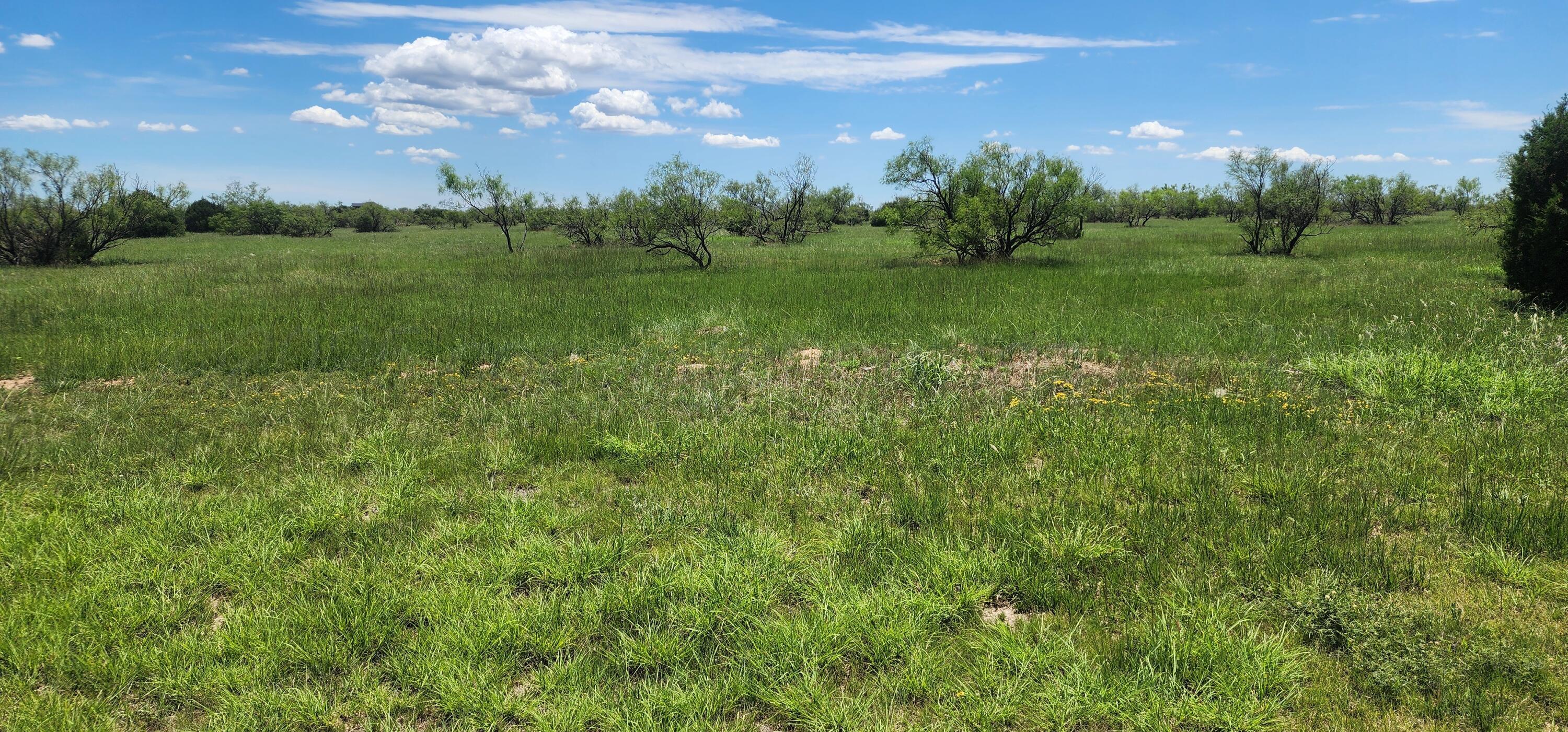 319 Prairie Point Canyon, TX 79015 - Photo 8 of 9 a view of an outdoor space and yard