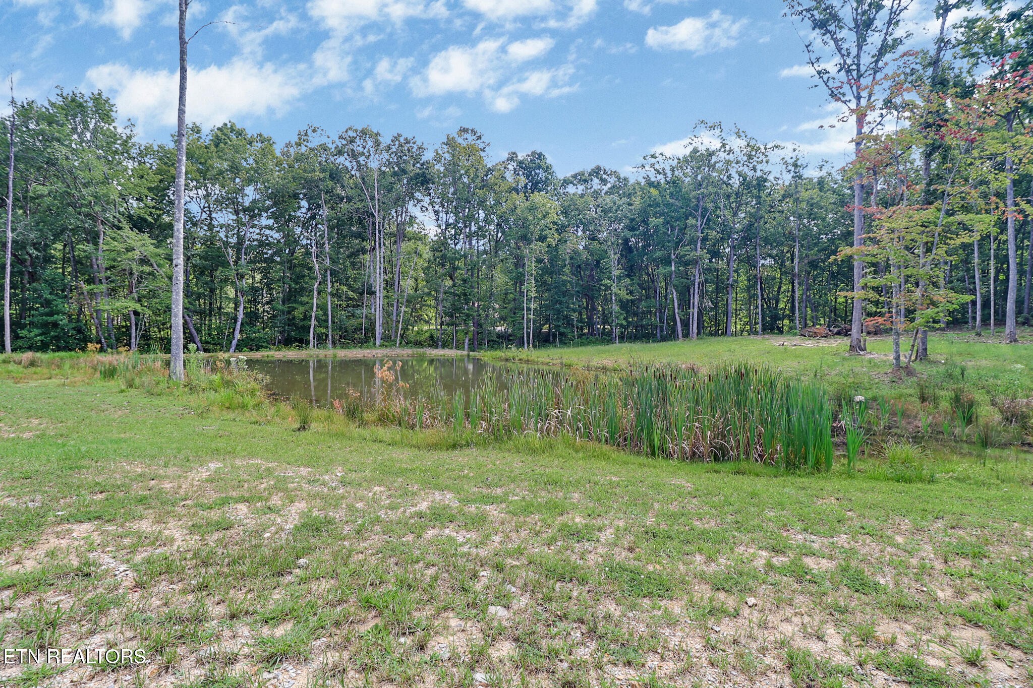 552 Robs Road Grimsley, TN 38565 - Photo 35 of 36 Gallery Image 35