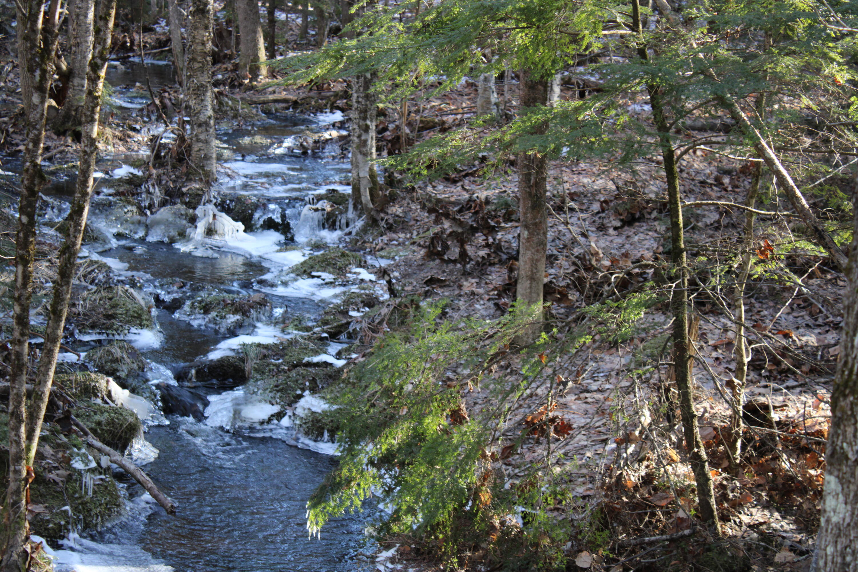 0 Senator Black Road West Baldwin, ME 04091 - Photo 11 of 16 senblackpic15