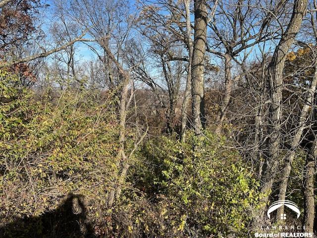 395.5-acres North 1100th Road Lawrence, KS 66047 - Photo 42 of 66