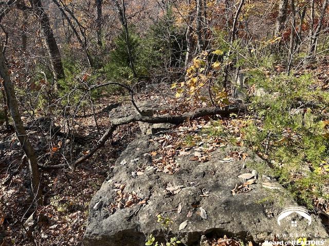 395.5-acres North 1100th Road Lawrence, KS 66047 - Photo 45 of 66