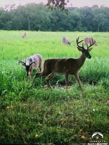 $6,000,000 | 395.5-acres North 1100th Road, Lawrence, KS 66047