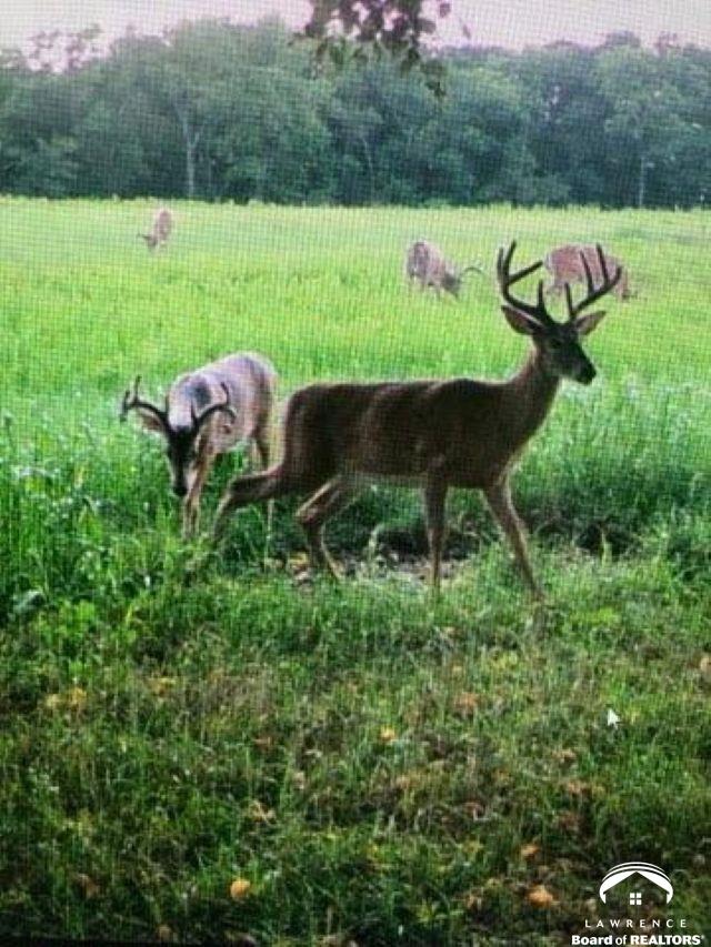 395.5-acres North 1100th Road Lawrence, KS 66047 - Photo 58 of 66