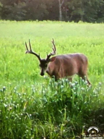 $6,000,000 | 395.5-acres North 1100th Road, Lawrence, KS 66047