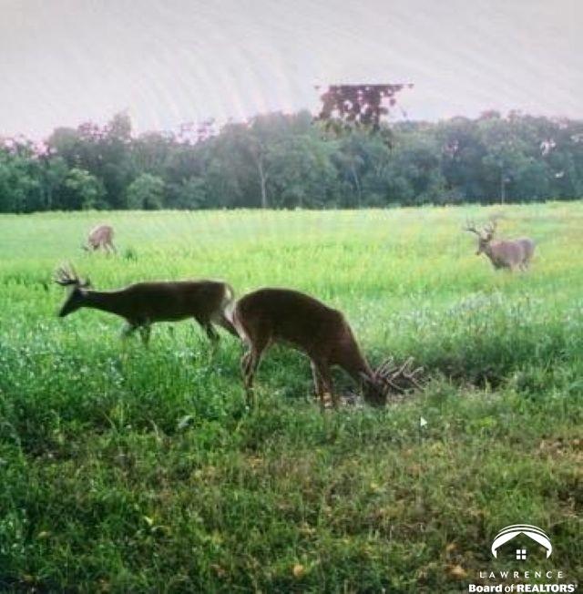 395.5-acres North 1100th Road Lawrence, KS 66047 - Photo 61 of 66