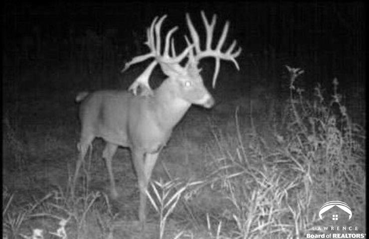 395.5-acres North 1100th Road Lawrence, KS 66047 - Photo 63 of 66