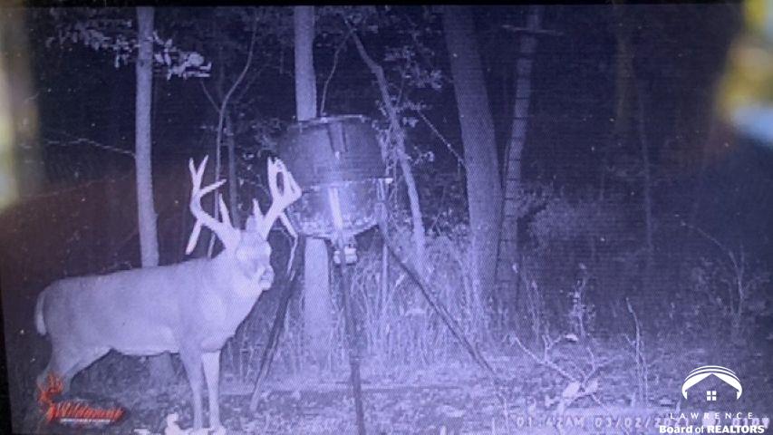 395.5-acres North 1100th Road Lawrence, KS 66047 - Photo 65 of 66