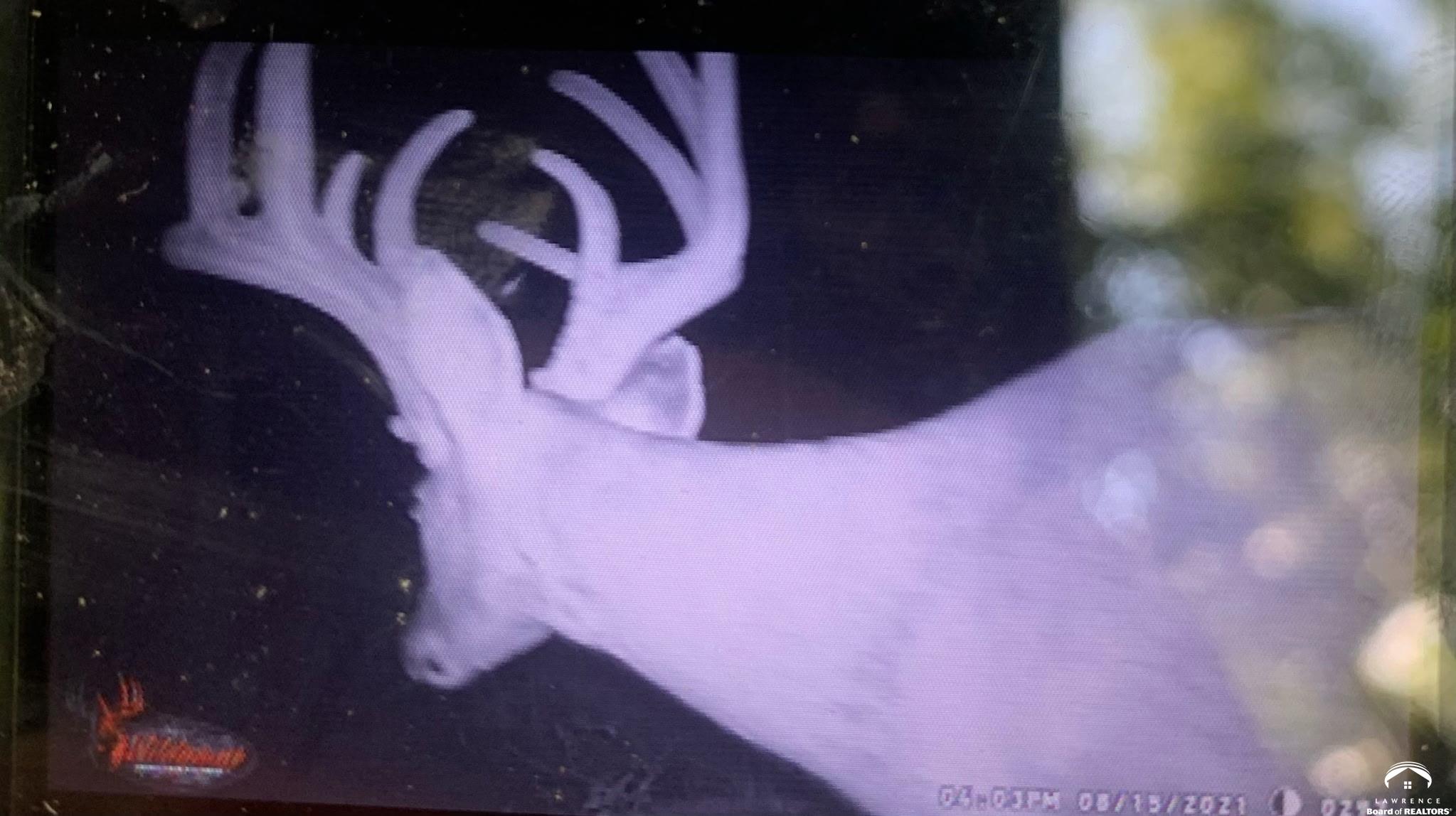 395.5-acres North 1100th Road Lawrence, KS 66047 - Photo 66 of 66